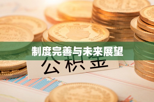 崇义制度完善与未来展望