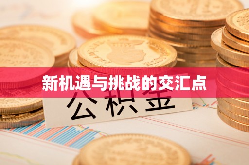 崇义新机遇与挑战的交汇点