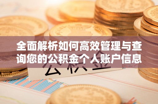 崇义全面解析如何高效管理与查询您的公积金个人账户信息