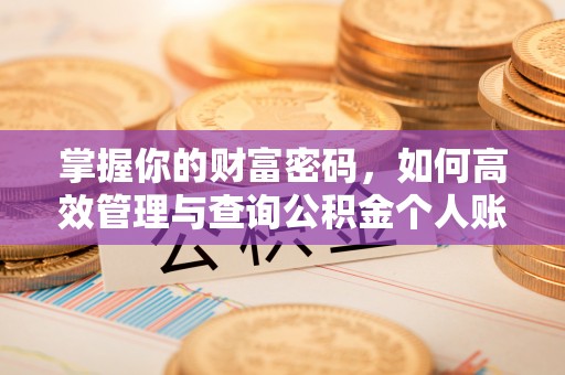 崇义掌握你的财富密码，如何高效管理与查询公积金个人账户信息