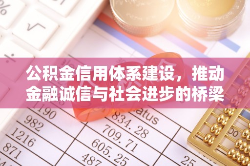 崇义公积金信用体系建设，推动金融诚信与社会进步的桥梁