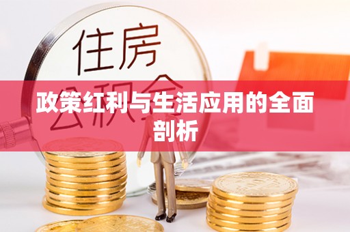 崇义政策红利与生活应用的全面剖析
