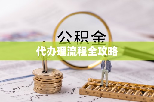 崇义代办理流程全攻略
