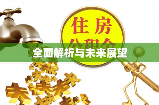崇义全面解析与未来展望