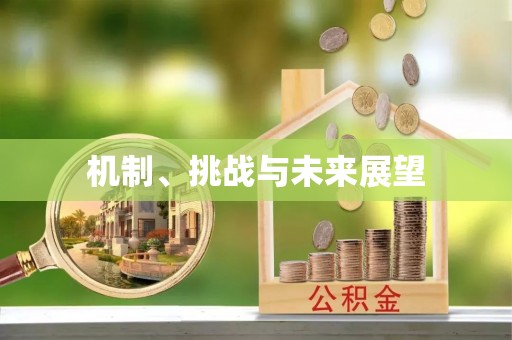 崇义机制、挑战与未来展望
